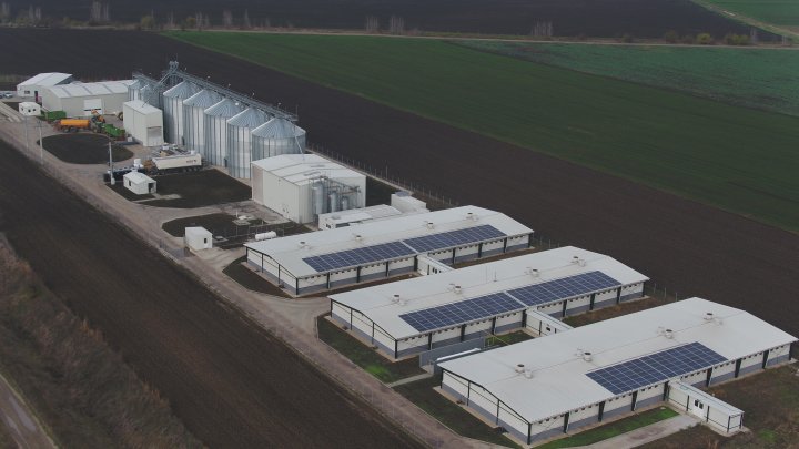 Agronicolescu - Swine Farm Complex