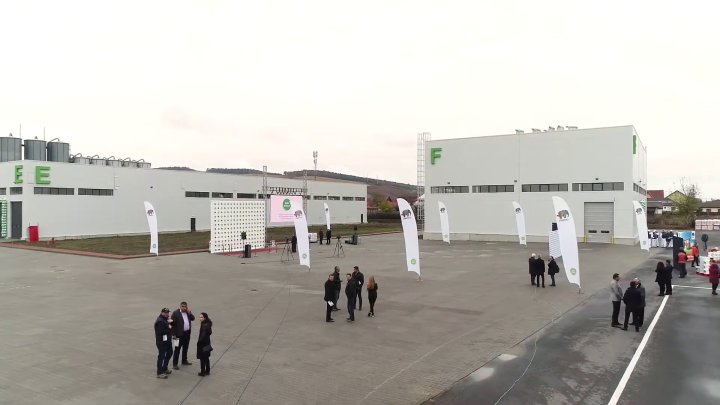 Daw Benta Romania - XPS production and storage facilities, Adhesives production facility